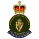 UDR Ulster Defence Regiment Northern Ireland Veterans Sticker Op Banner